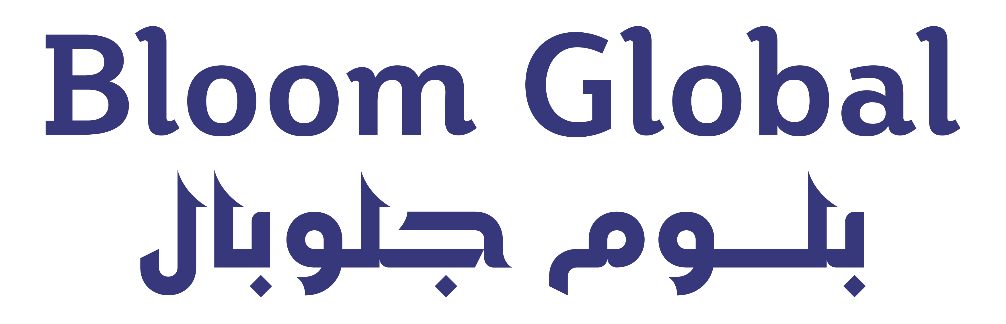 شركة بلوم جلوبال